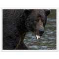 0244810e-48df-4bd3-83fa-ea233efc029b