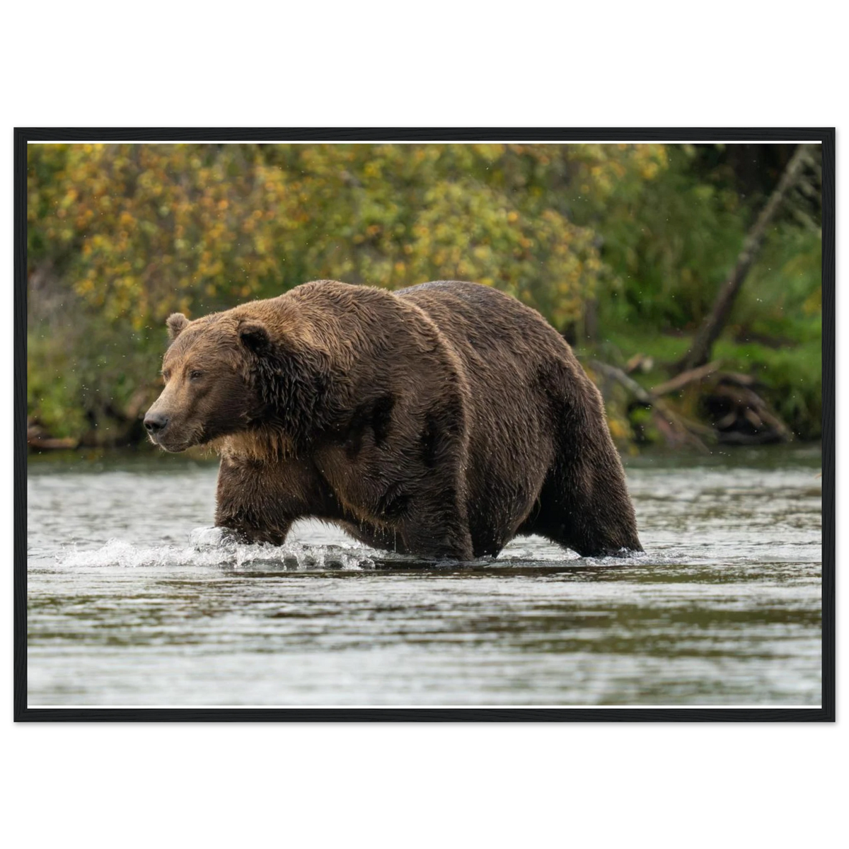 39208954-f45a-4d99-9df5-94e1a1f7a4a8