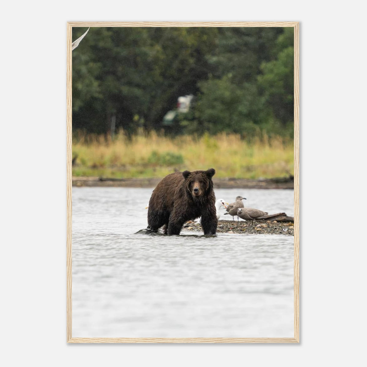caa17b07-ea36-41b1-88f1-132e2e5a759d