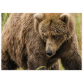 db2016f5-d22c-49cb-8a84-4565646e4d97