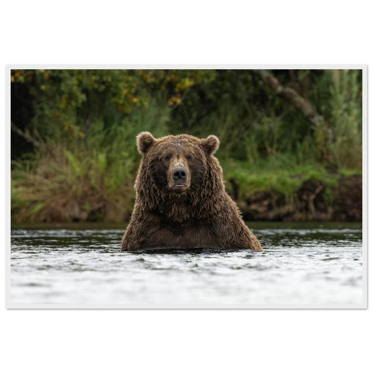 f6896958-846d-4de9-a200-d8089ec161fd