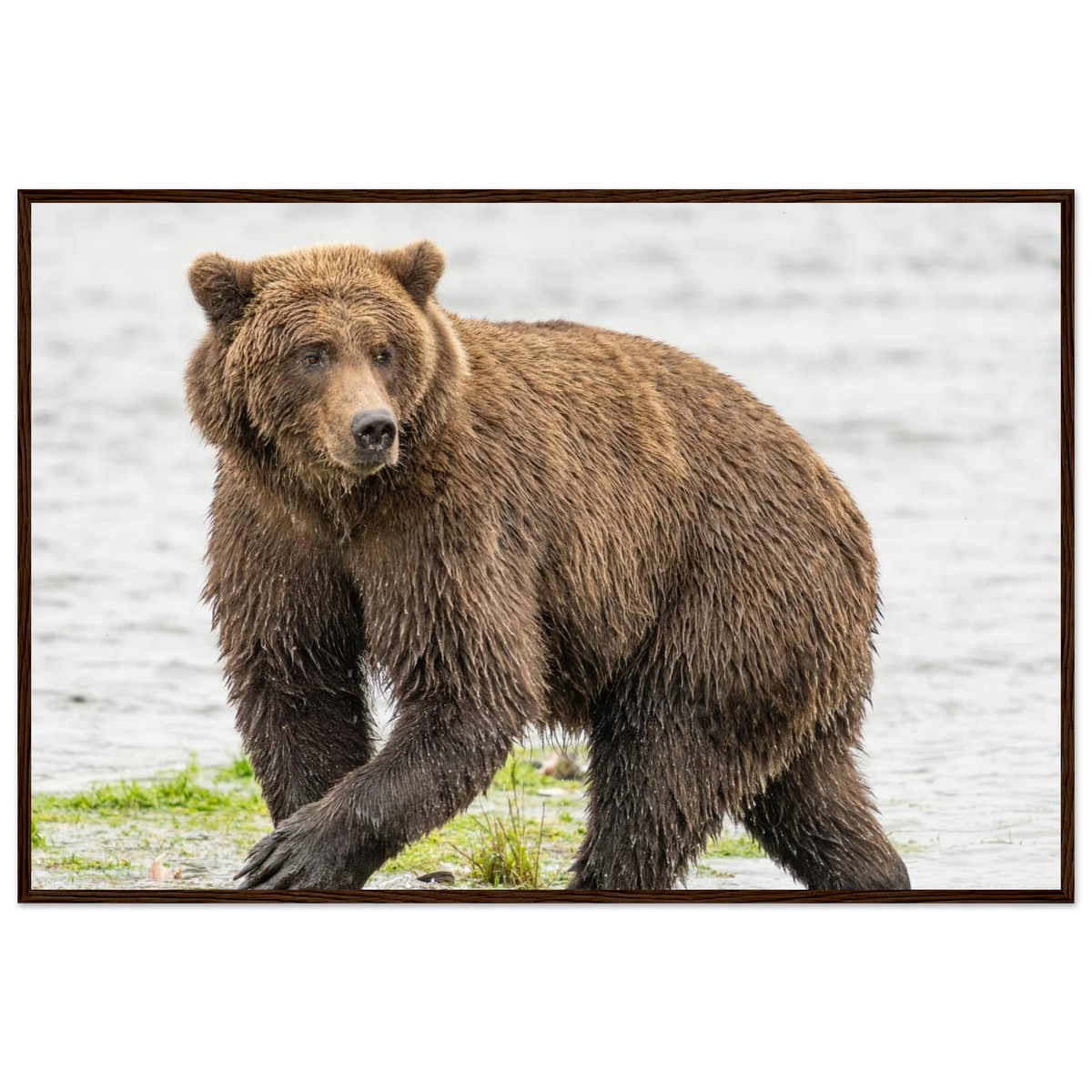 fae07d84-7f76-457c-af49-94d88b128ab8
